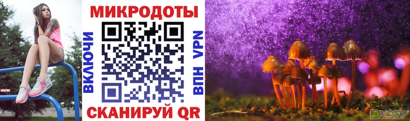мега зеркало  Троицк  Галлюциногенные грибы Psilocybe 