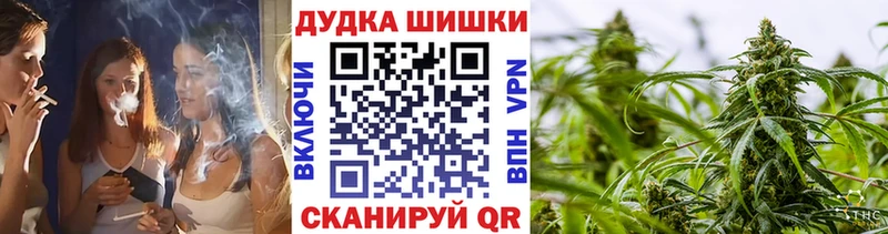 Шишки марихуана сатива  где купить наркоту  Троицк 